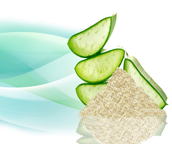 Aloe’s acemannan improves cellular metabolism. Aloe vera polysaccharides and acemannan content for formulations